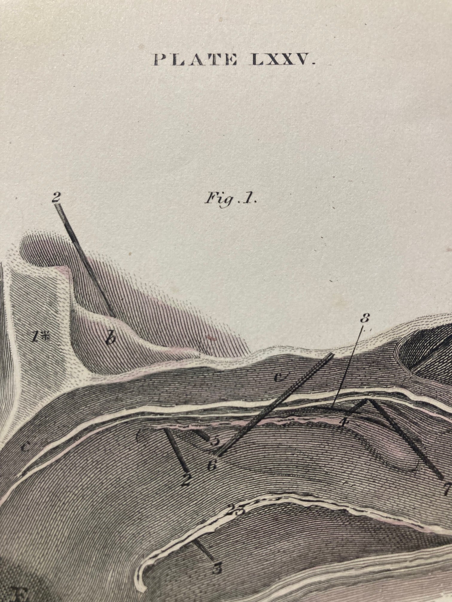 Early Anatomy - Plate LXXV - ORIGINAL - Room Four