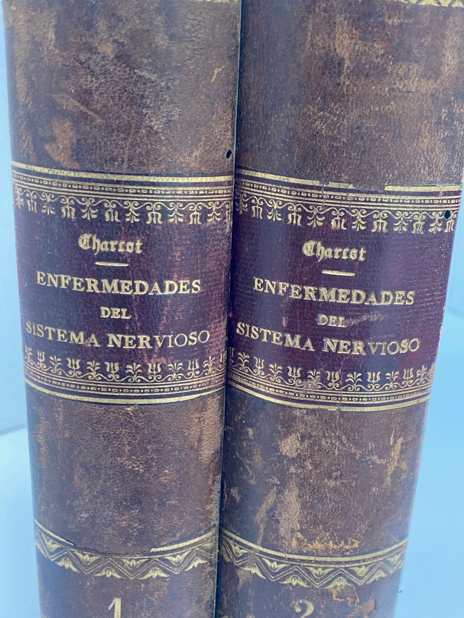 Enfermedades del Sistema Nervioso (2 Volumes) - Room Four