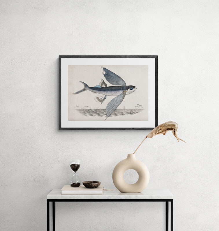 Antique Flying Fish Wall Art Print