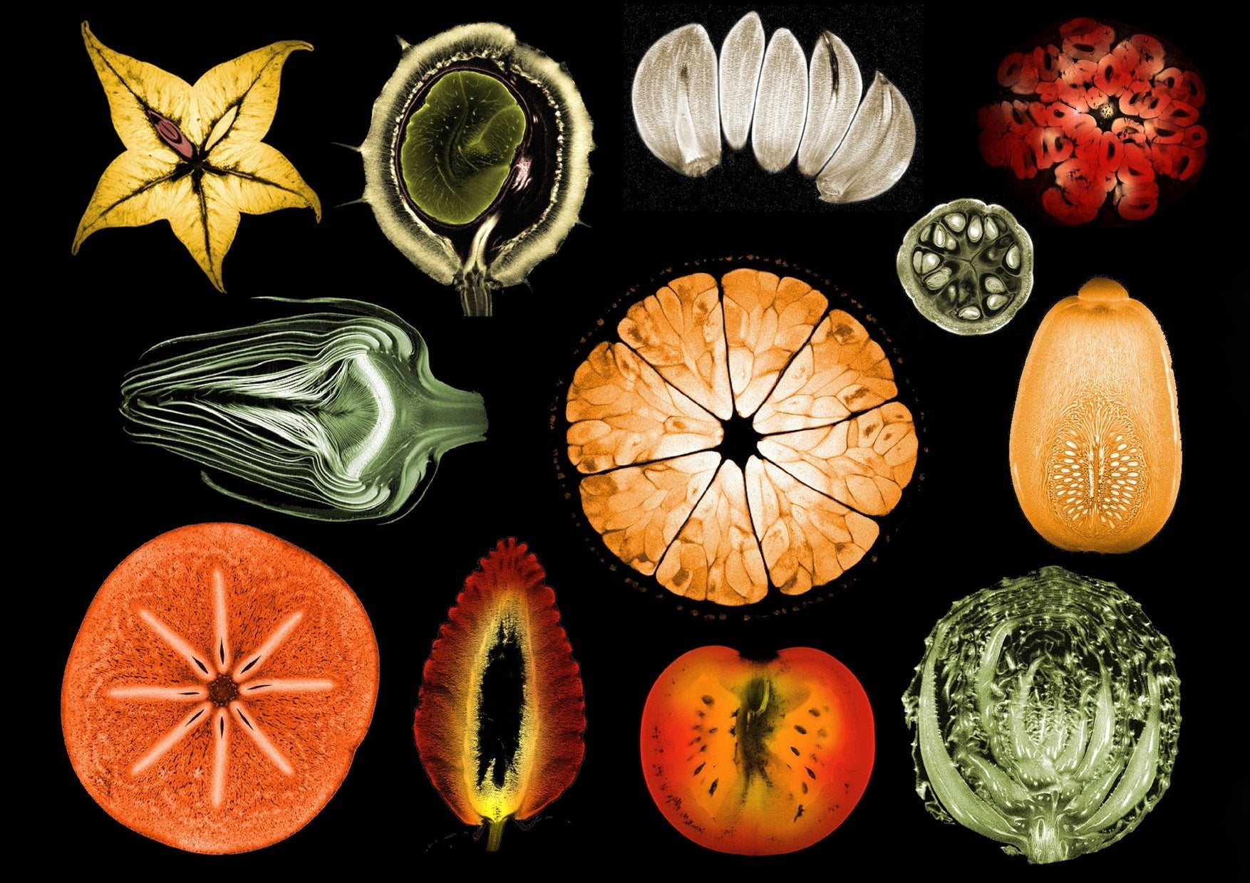 Fruit & Vegetables MRI Scan Kitchen Wall Art Print - Room Four