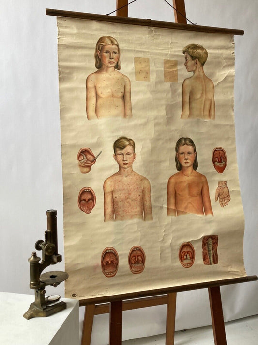 Germany Youth Health Chart - Room Four