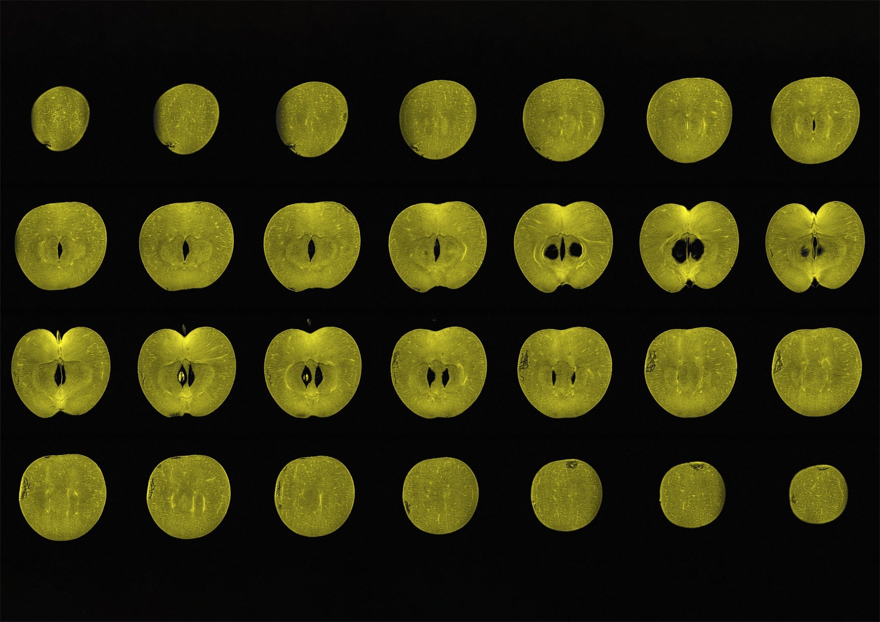 Green Apple Fruit MRI Scan Kitchen Wall Art Print - Room Four
