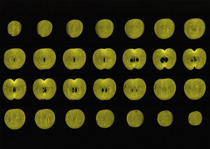 Green Apple Fruit MRI Scan Kitchen Wall Art Print - Room Four