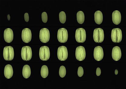 Green Kiwi Fruit MRI Scan Kitchen Wall Art Print - Room Four