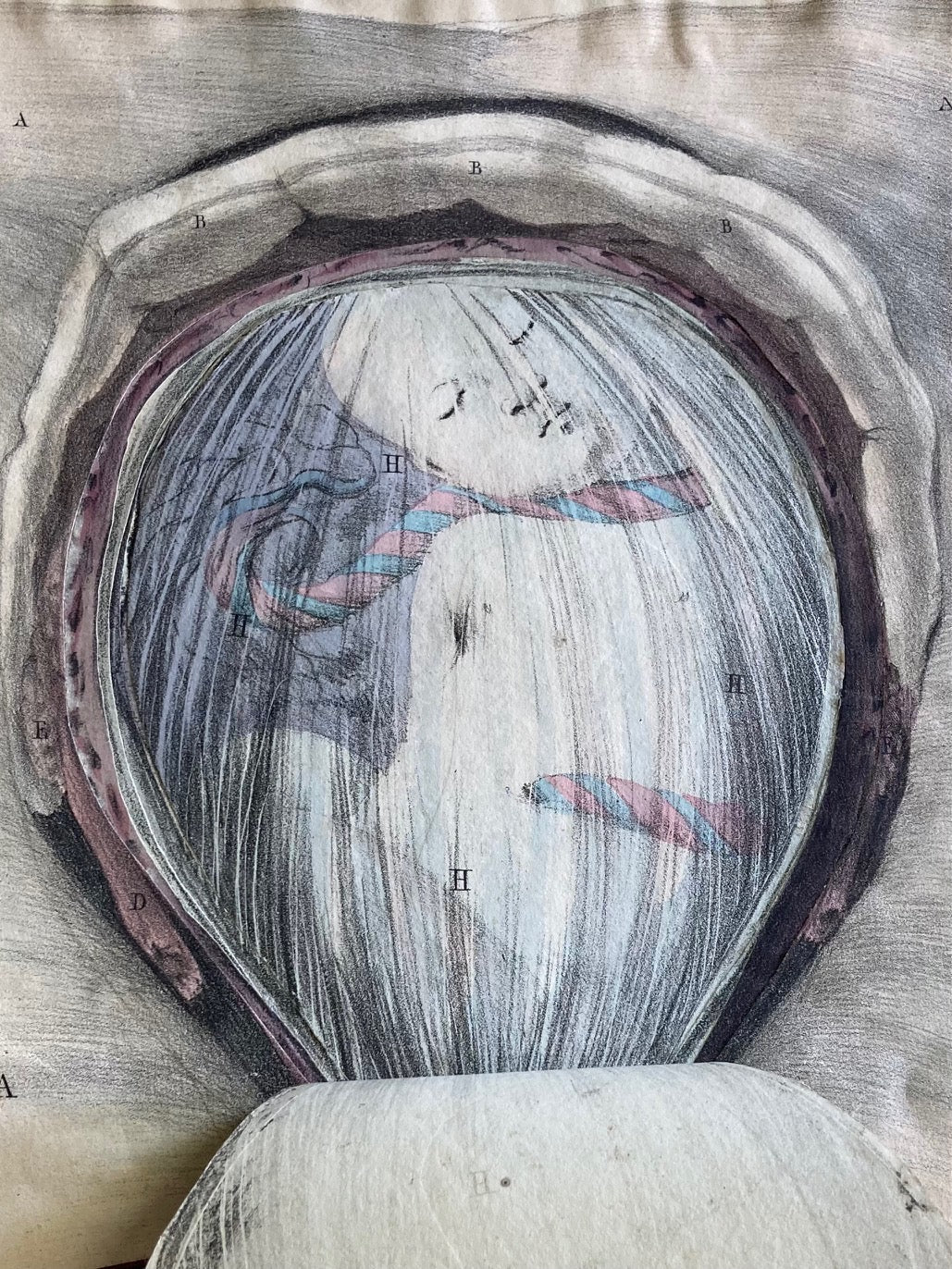 Human Anatomy Book 1828 - Room Four