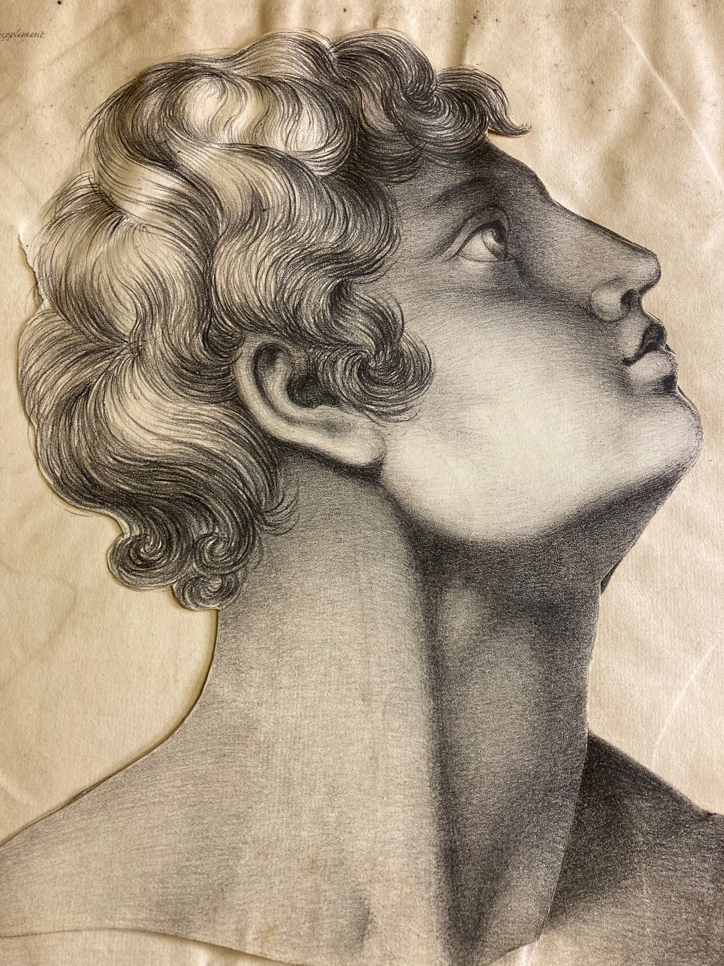 Human Anatomy Book 1828 - Room Four