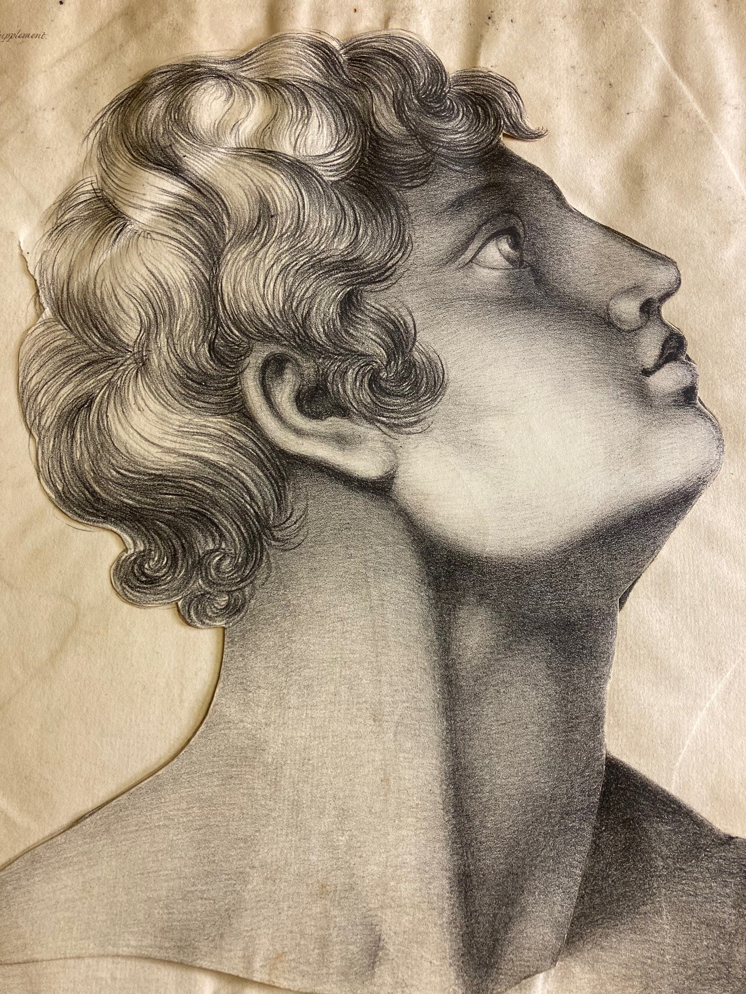 Human Anatomy Book 1828 - Room Four