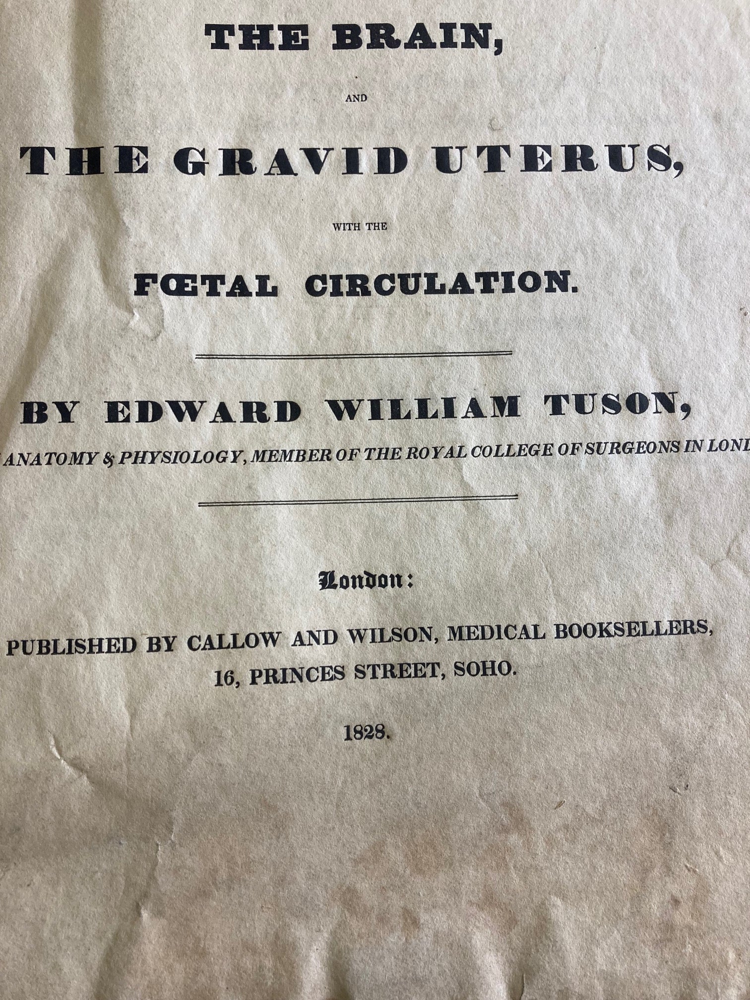 Human Anatomy Book 1828 - Room Four