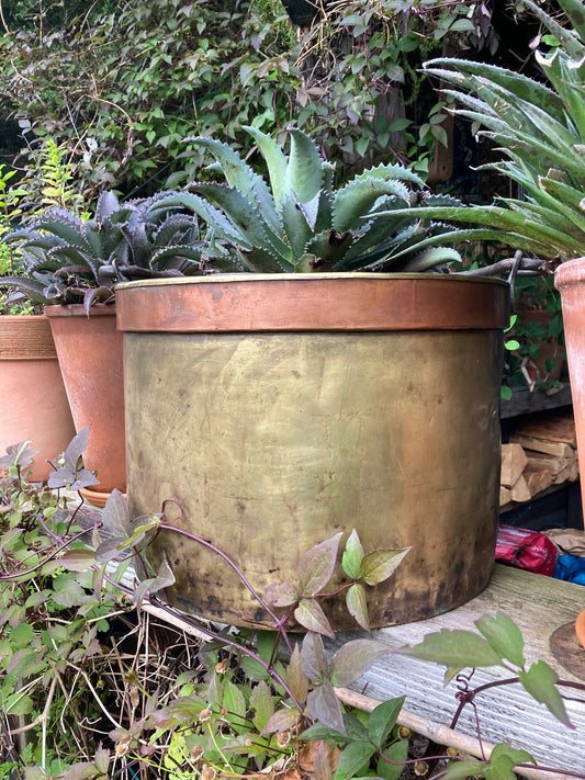 Large Antique Brass and Copper Bin - Room Four