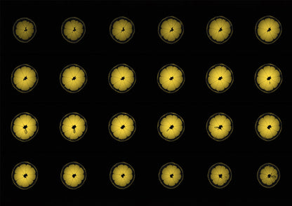 Lemon Fruit MRI Scan Kitchen Wall Art Print - Room Four