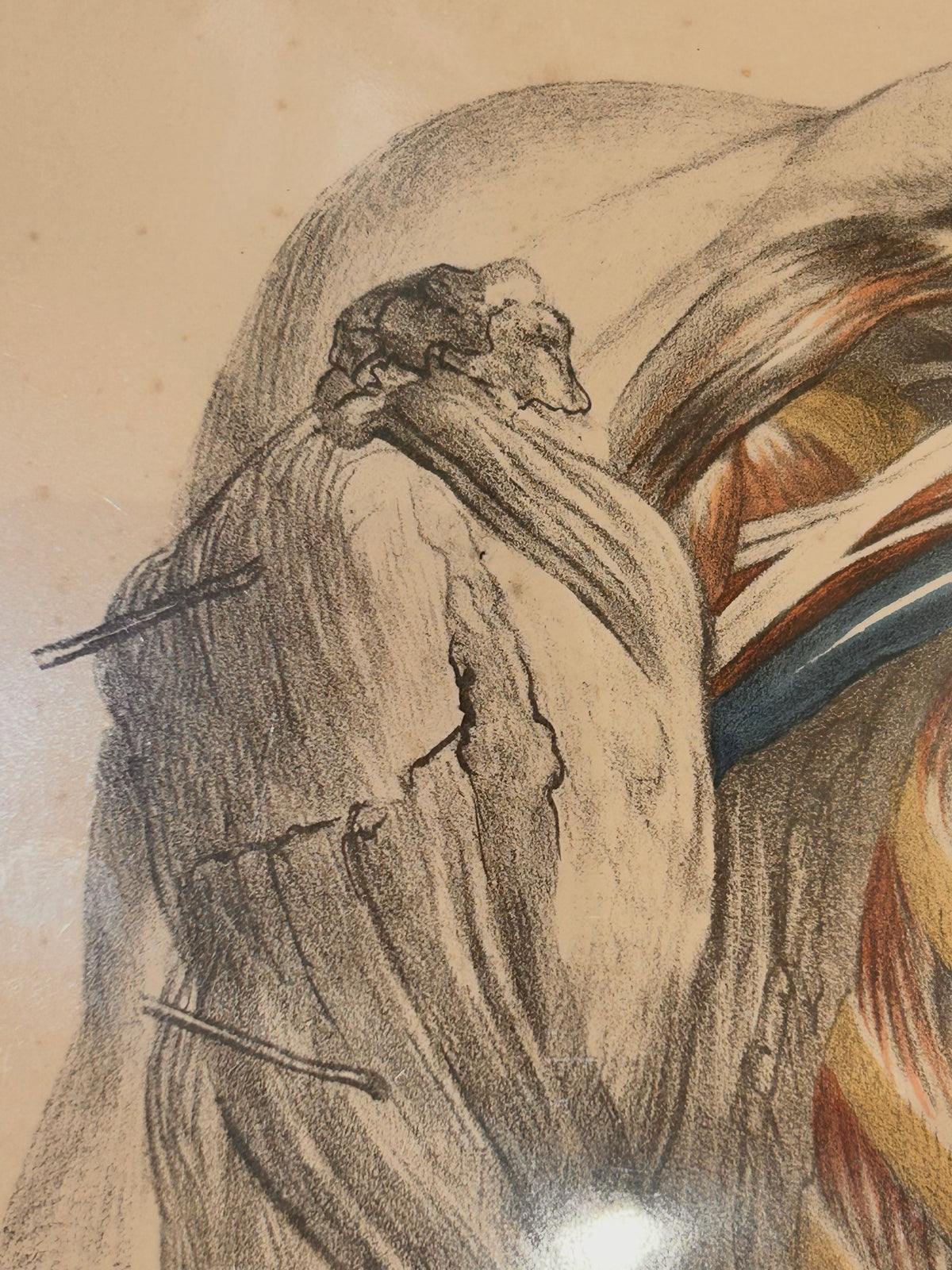 Frances Sibson Antique Anatomical Print – Plate II, 19th Century Dissection Illustration