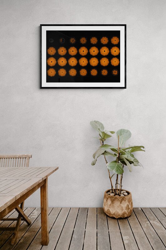 Mandarin Orange Fruit MRI Scan Kitchen Wall Art Print - Axial View - Room Four
