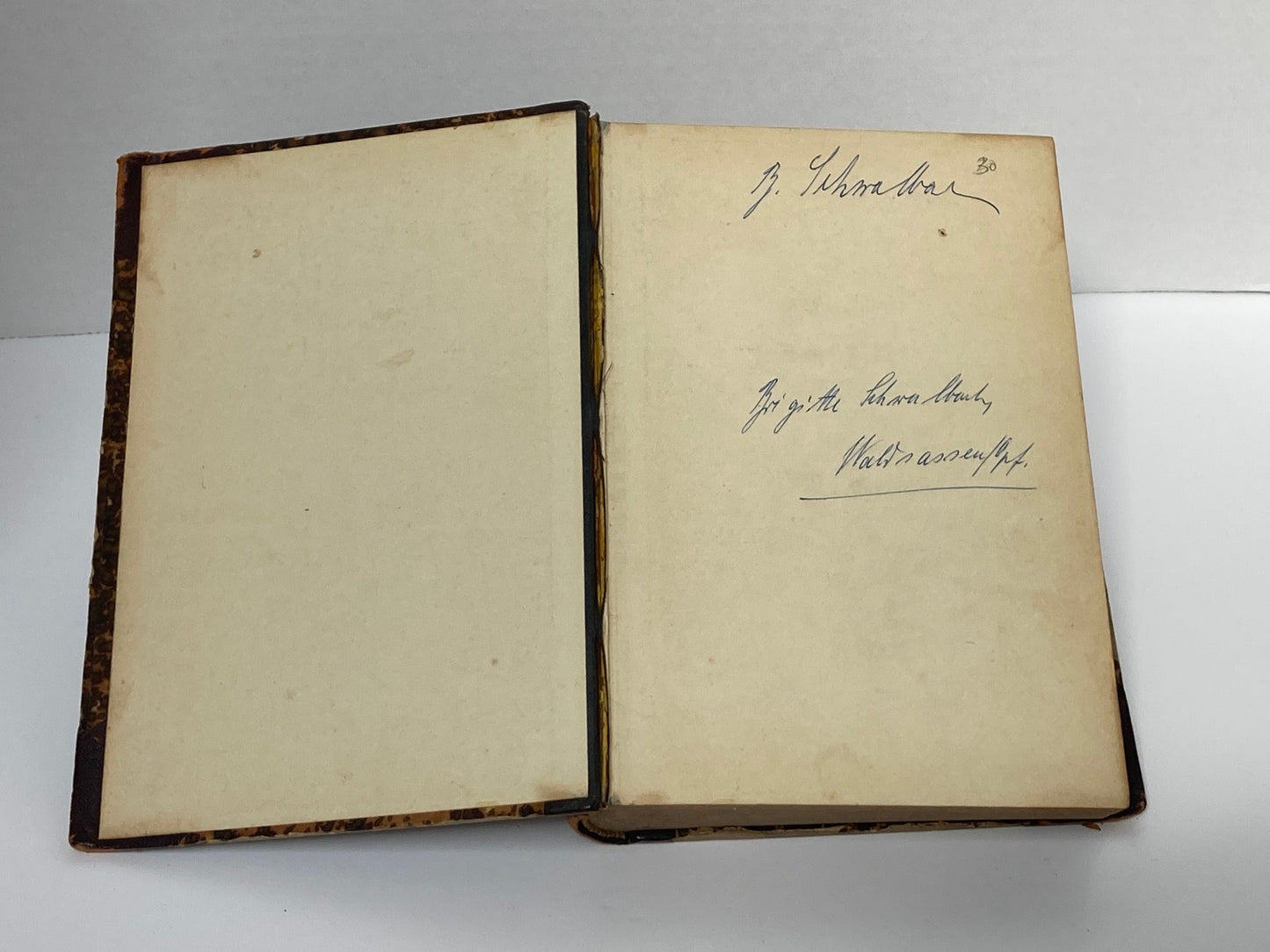 (Obstetrics) Lehrbuch der Geburtshilfe - 1891 - Room Four