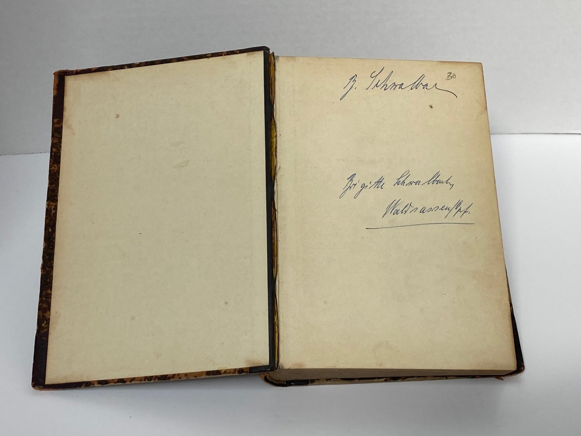 (Obstetrics) Lehrbuch der Geburtshilfe - 1891 - Room Four