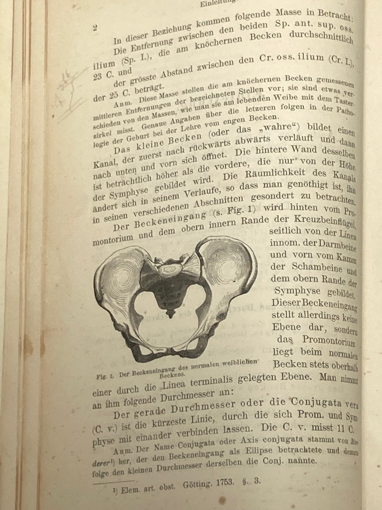 (Obstetrics) Lehrbuch der Geburtshilfe - 1891 - Room Four