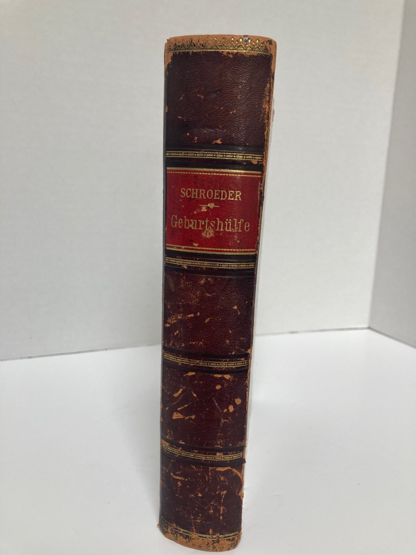 (Obstetrics) Lehrbuch der Geburtshilfe - 1891 - Room Four