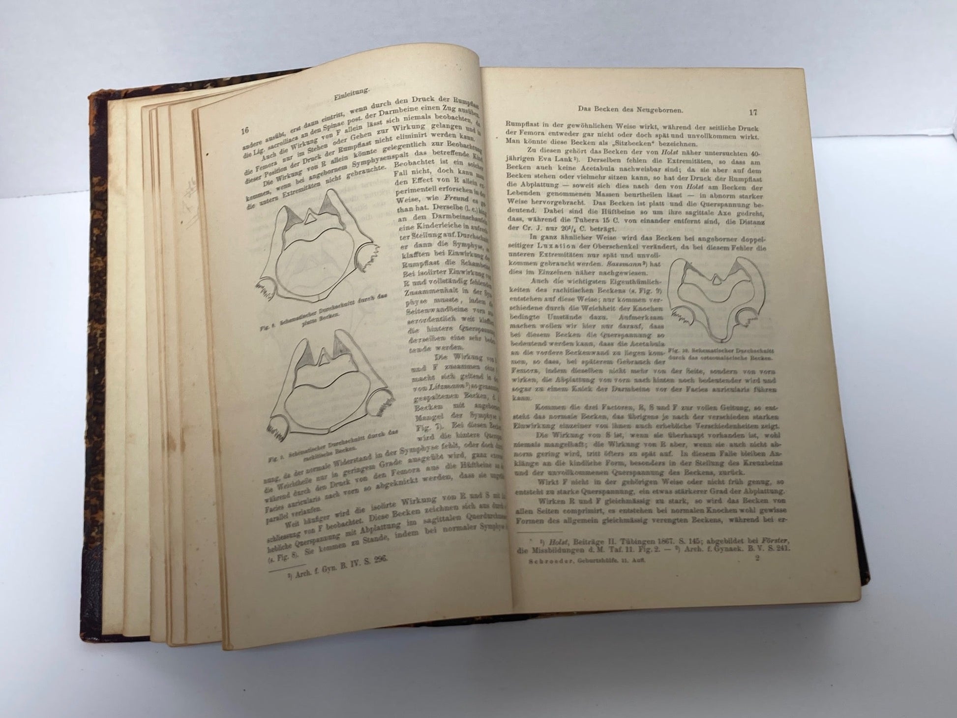 (Obstetrics) Lehrbuch der Geburtshilfe - 1891 - Room Four