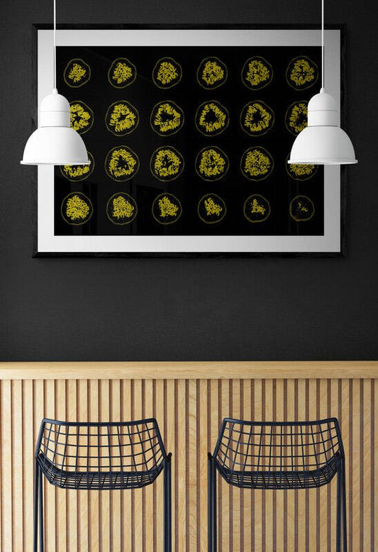 Passion Fruit MRI Scan Kitchen Wall Art Print - Room Four
