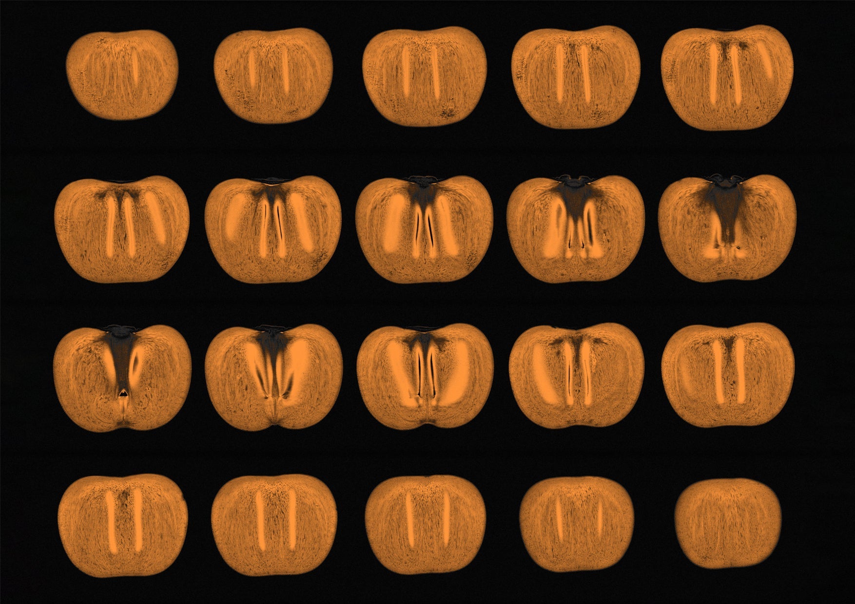 Persimmon Fruit MRI Scan Collage Kitchen Wall Art Print - Room Four
