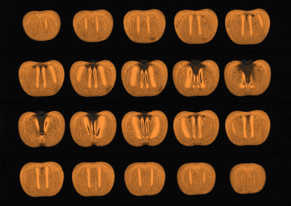 Persimmon Fruit MRI Scan Collage Kitchen Wall Art Print - Room Four