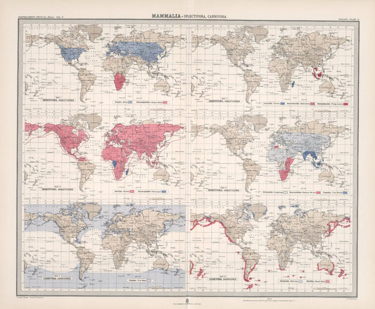 Antique Zoogeography Map - MAMMALIA – Vintage Zoology Chart, early 20th Century (Copy)