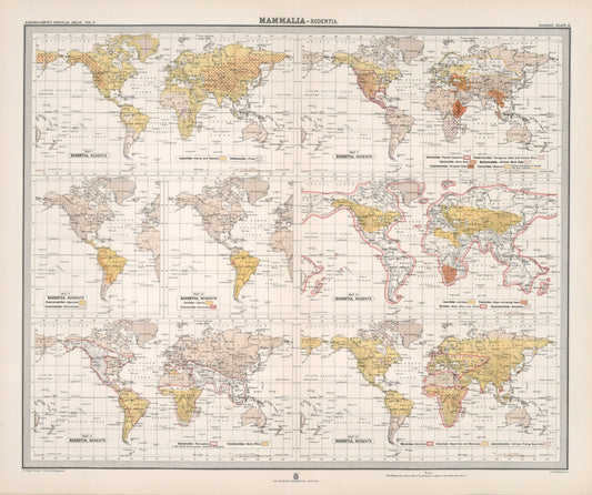 Antique Zoogeography Map - MAMMALIA RODENTIA – Vintage Zoology Chart, early 20th Century