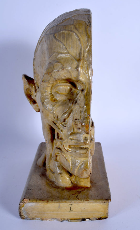 Rare Ceramic Anatomical Study - Room Four