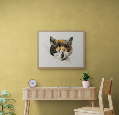 Sleeping Tabby Cat Wall Art Print - Room Four