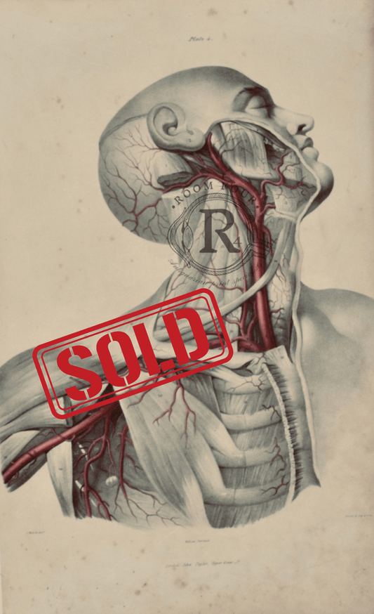 Sold – 19th - Century Vascular Anatomy, Plate 4 (Quain) - Room Four