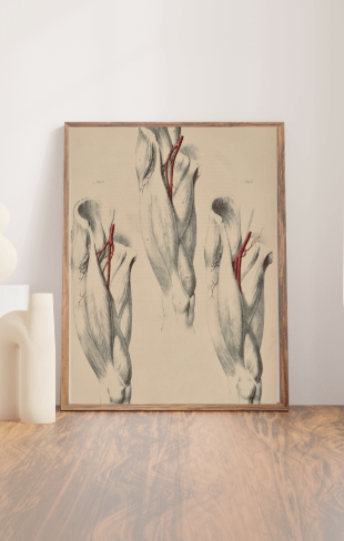 SOLD - Anatomical Original Wall Art - Vascular Leg 28 - Room Four