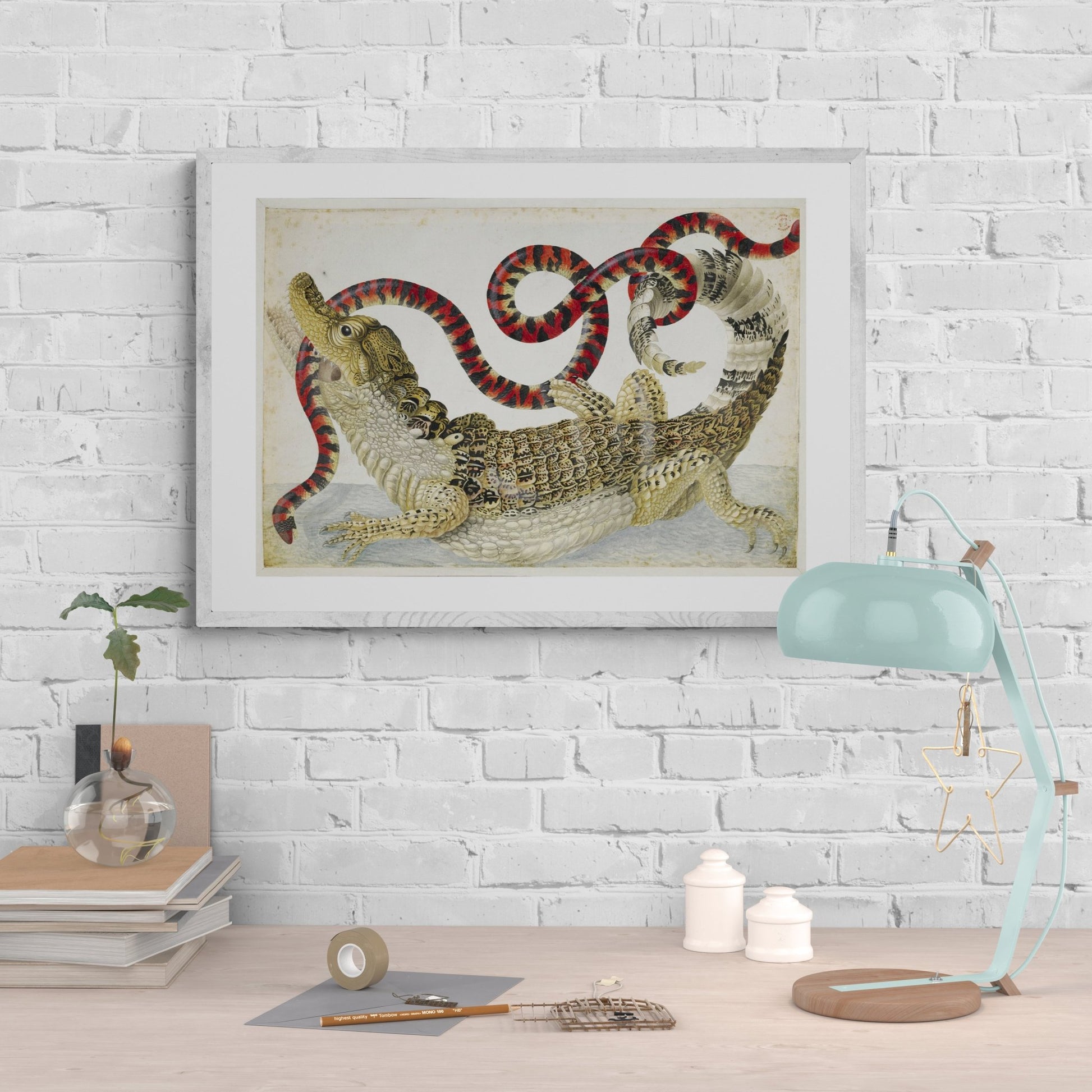 "Spectacled" Caiman Antique Print - Room Four