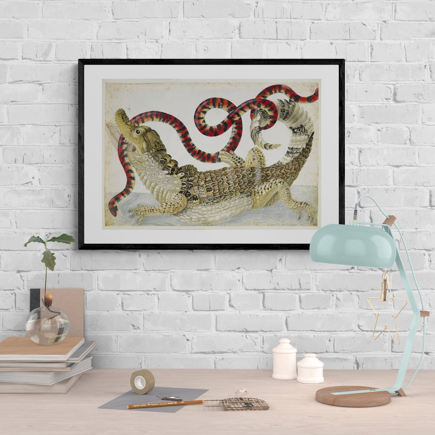 "Spectacled" Caiman Antique Print - Room Four