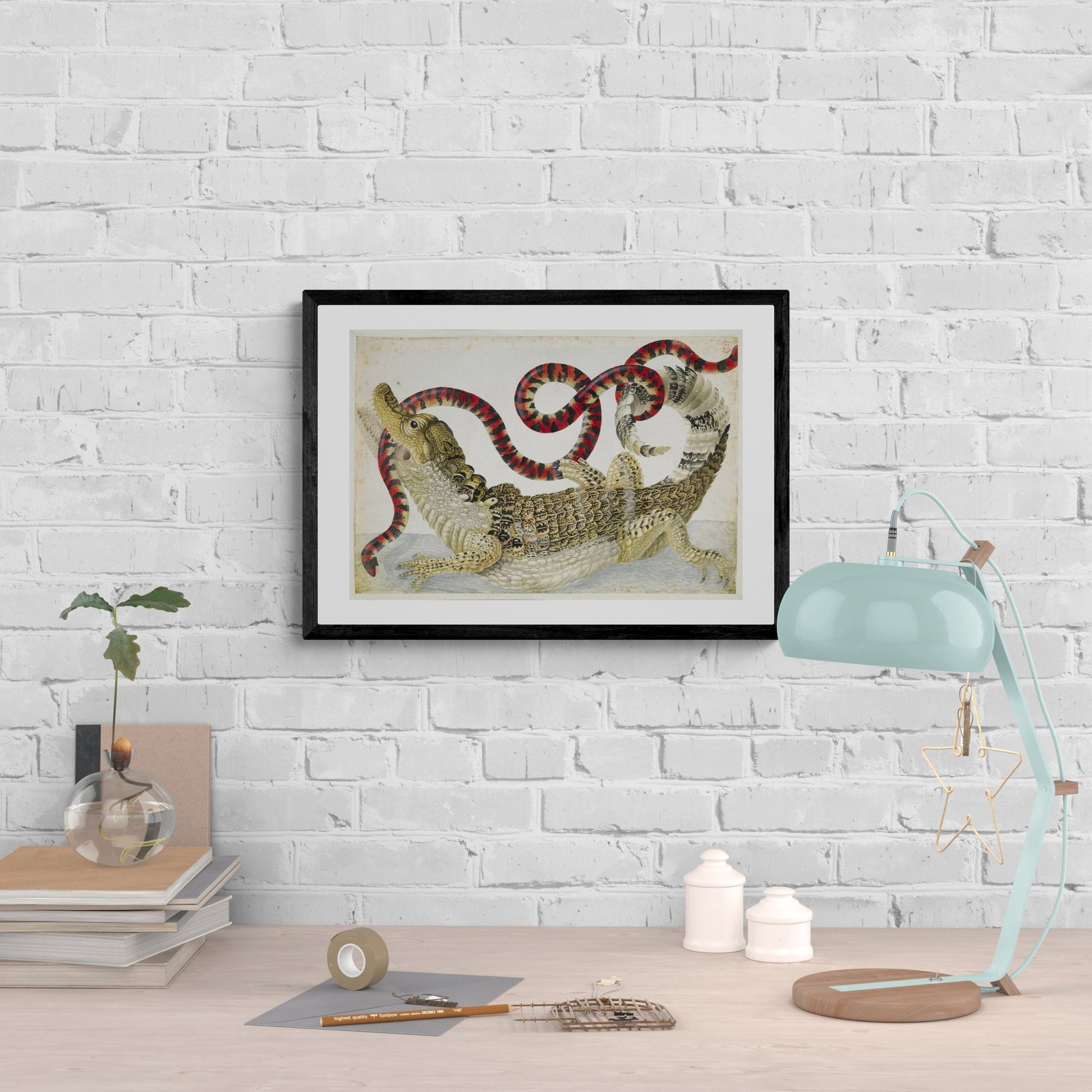 "Spectacled" Caiman Antique Print - Room Four