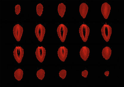 Strawberry Fruit MRI Scan Kitchen Wall Art Print - Room Four