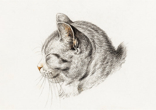 Tabby Cat Wall Art Print - Room Four