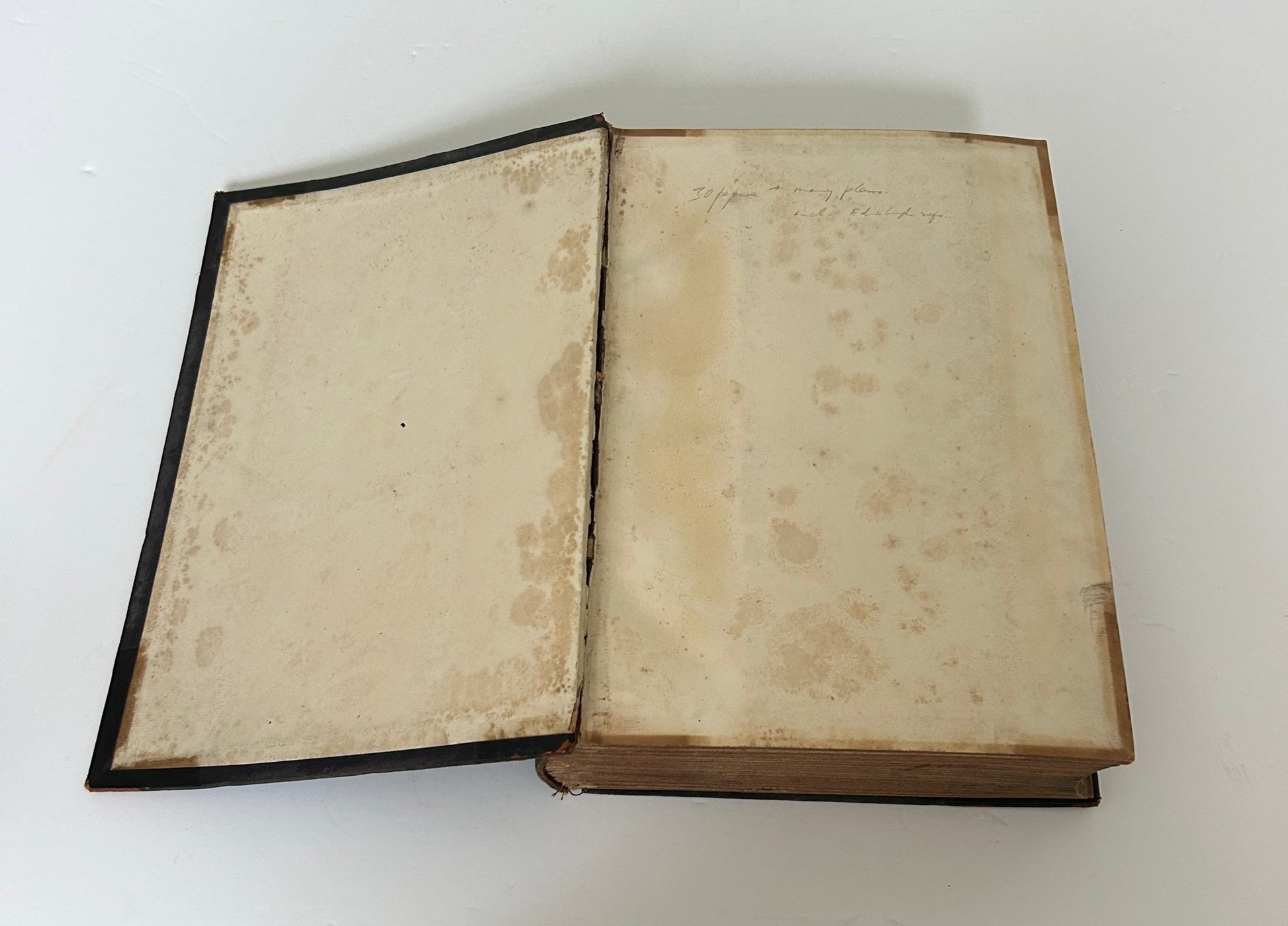 The Building News and Engineering Journal Volume The Eighty Eighth - Architecture Antique Book - Room Four