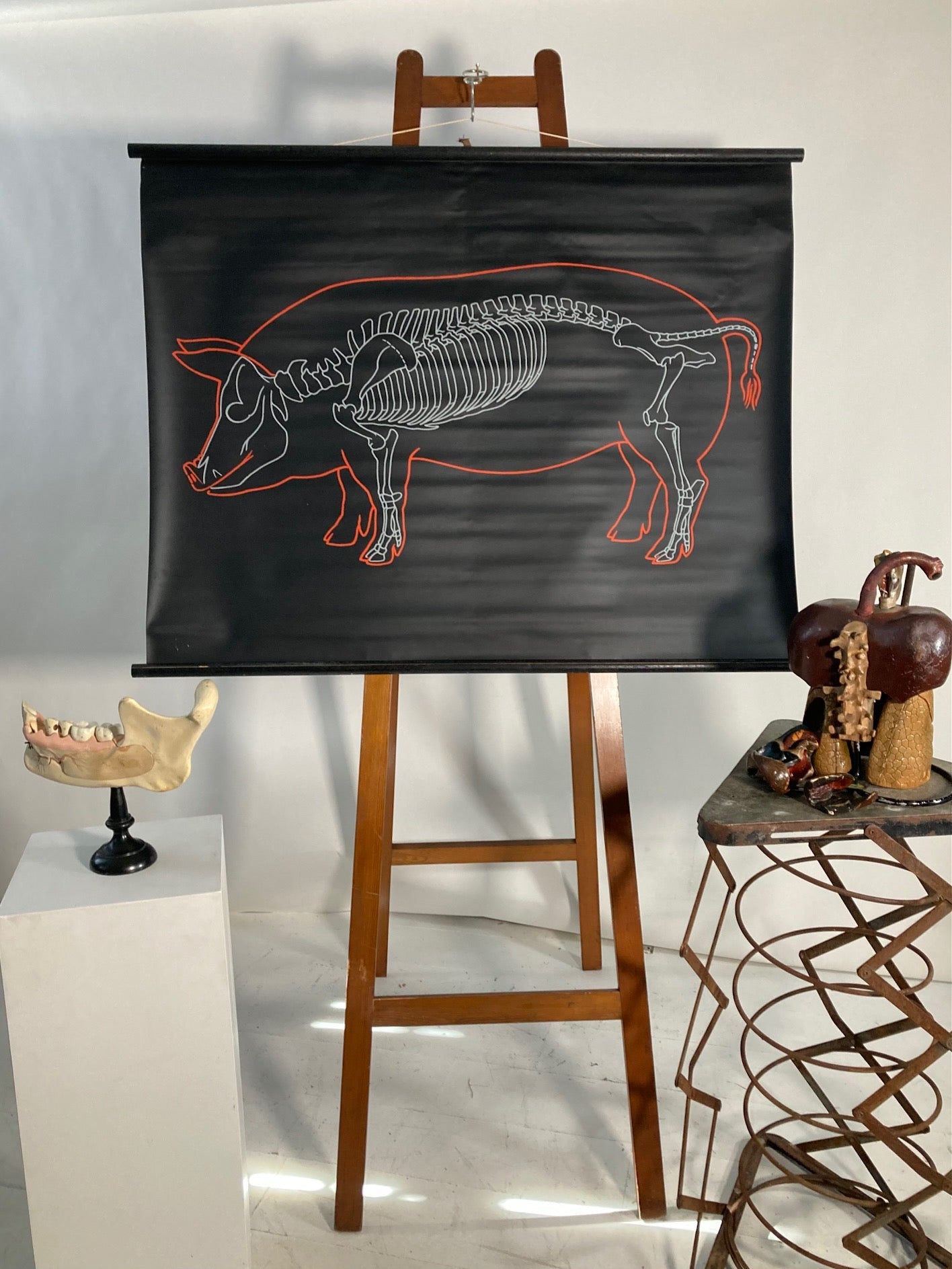 The Pig Vintage Anatomical Educational Wall Chart - Germany - Room Four