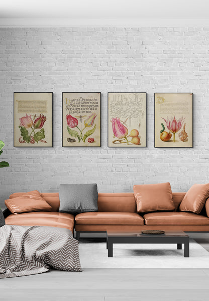 Antique Tulip & Worm Botanical Wall Art Print