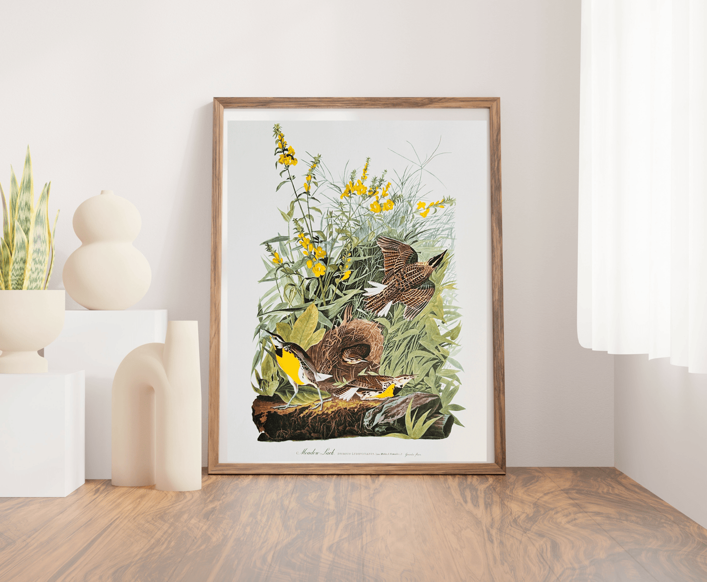 Vintage 1964 Lithographic Print - Meadow Lark - Room Four