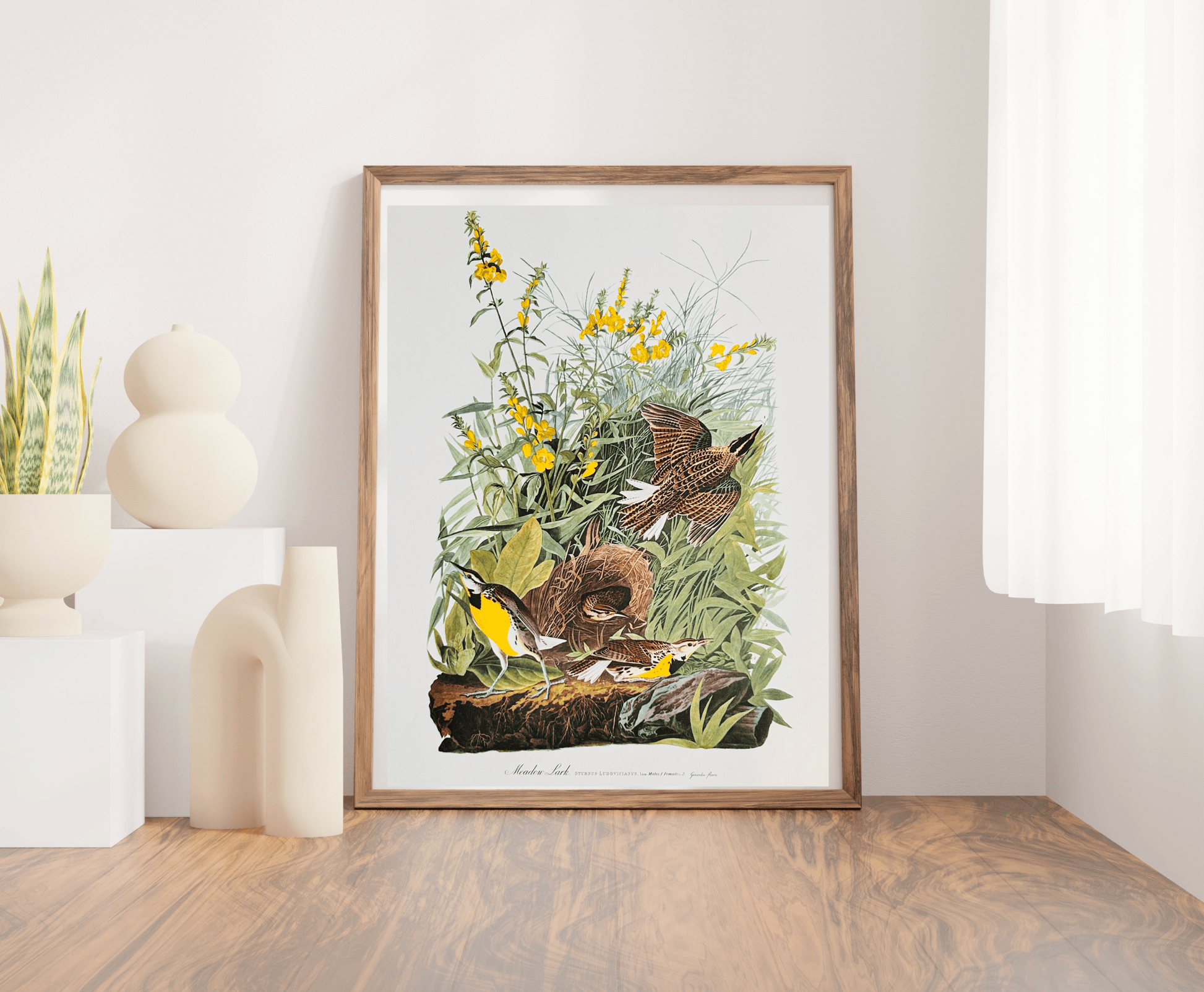 Vintage 1964 Lithographic Print - Meadow Lark - Room Four