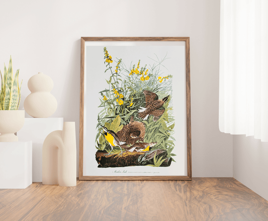 Vintage 1964 Lithographic Print - Meadow Lark - Room Four