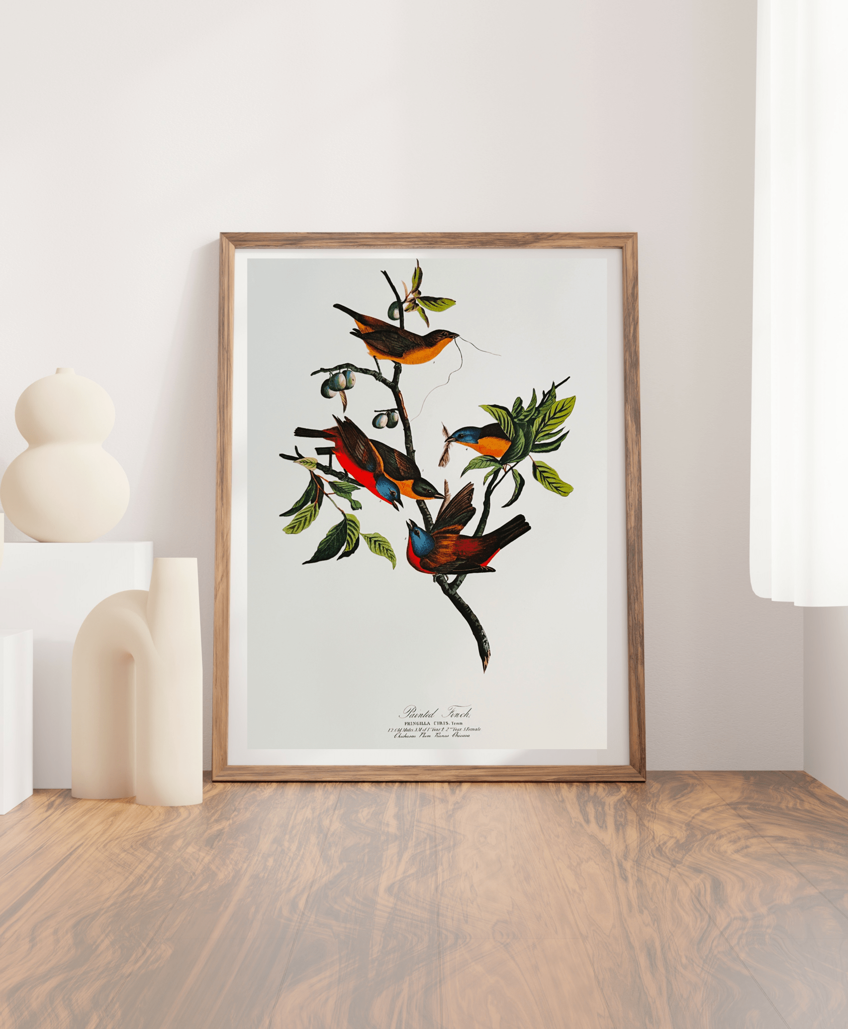 Vintage 1964 Lithographic Print - The Painted Finch - Room Four