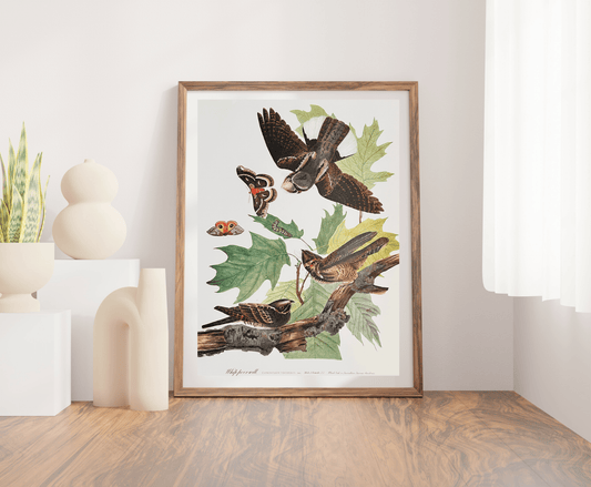 Vintage 1964 Lithographic Print - The Whipperwill - Room Four