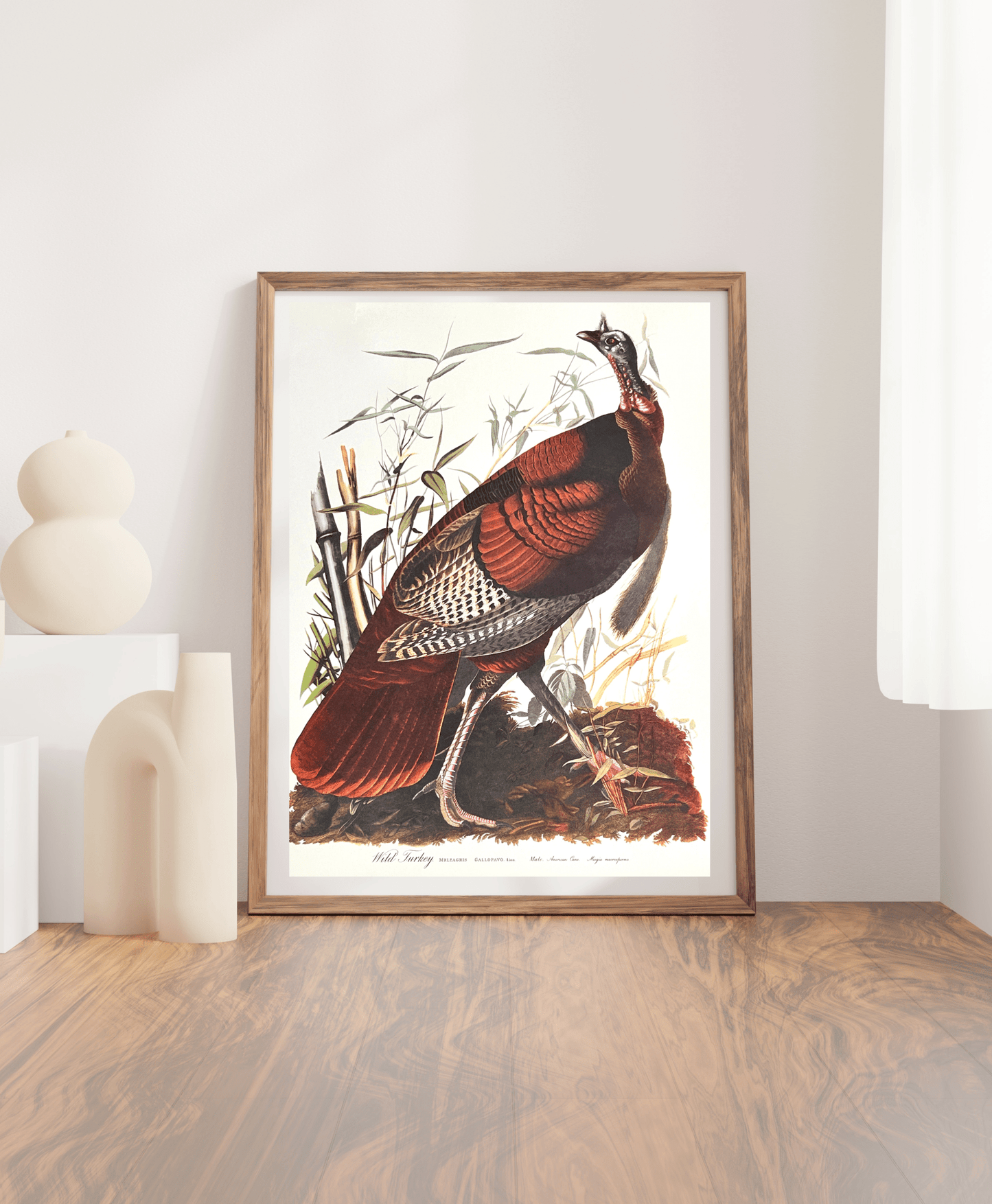 Vintage 1964 Lithographic Print - Wild Turkey - Room Four