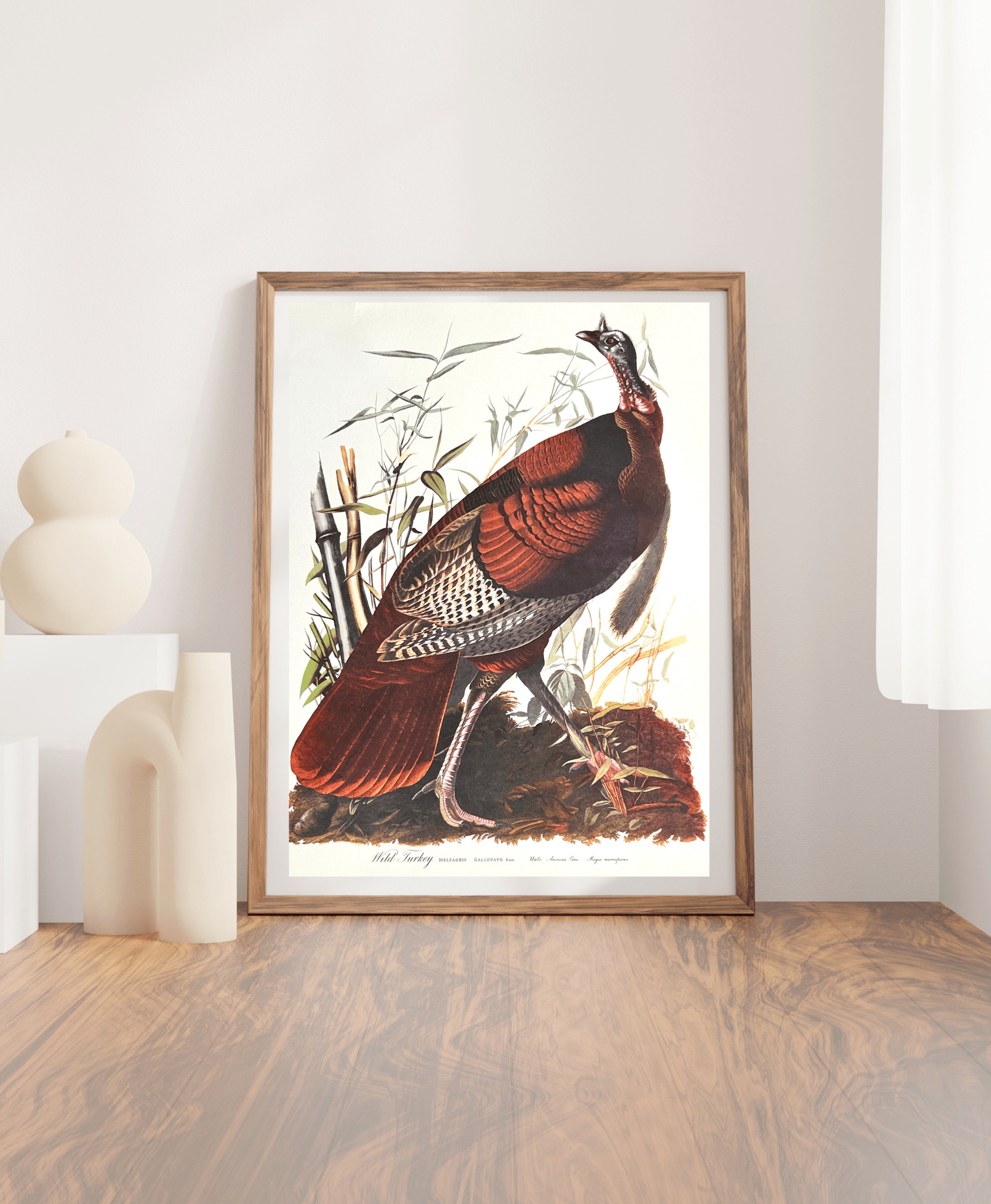 Vintage 1964 Lithographic Print - Wild Turkey - Room Four