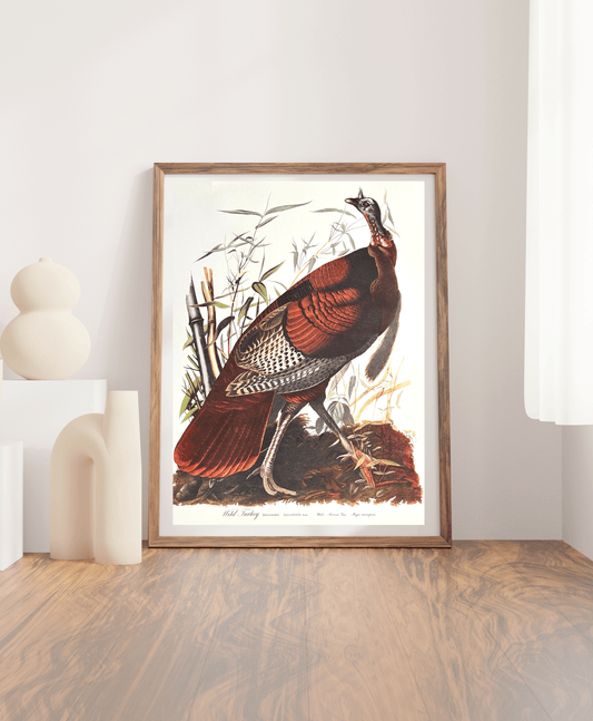 Vintage 1964 Lithographic Print - Wild Turkey - Room Four
