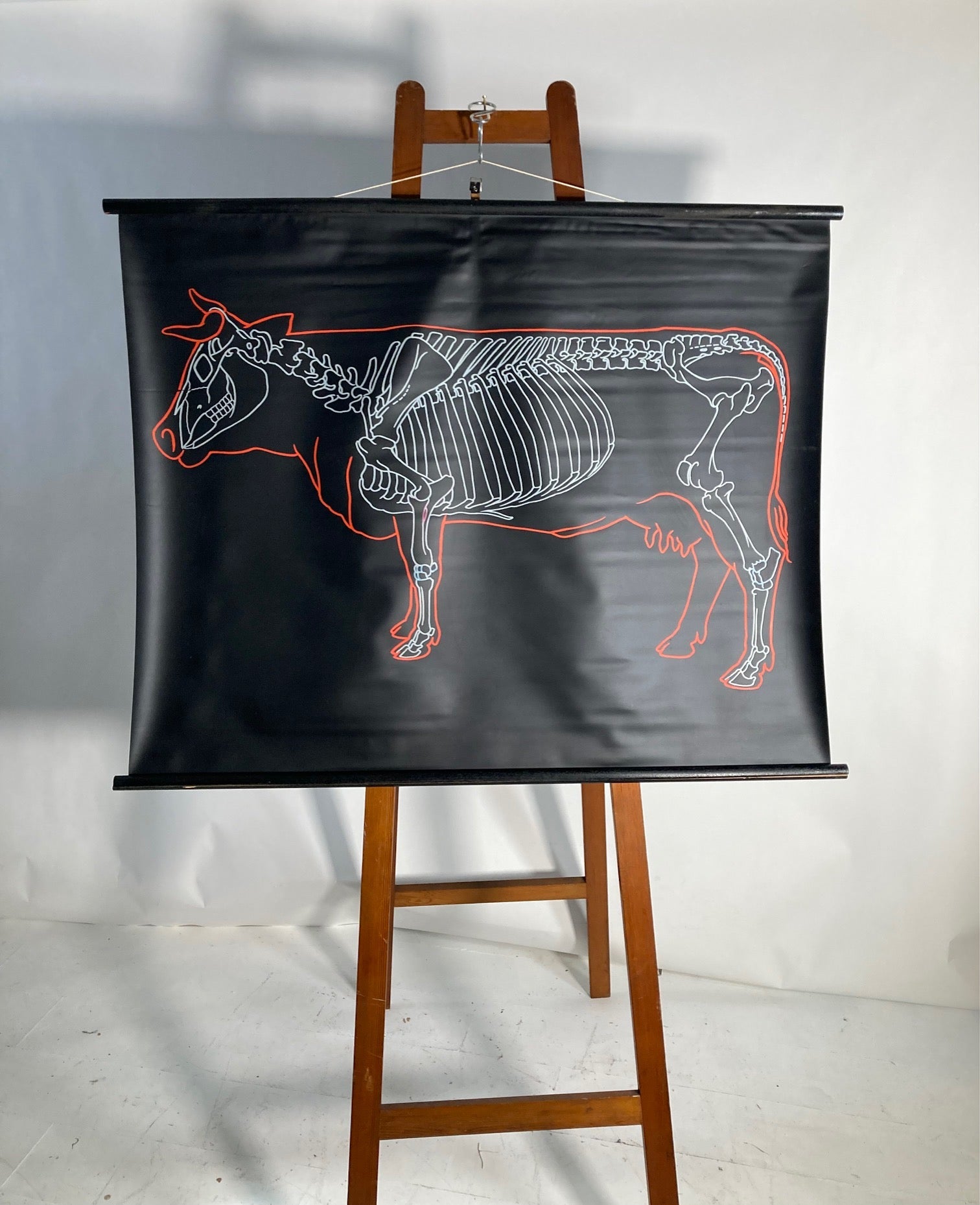 Vintage Wall Chart - The Cow - Room Four