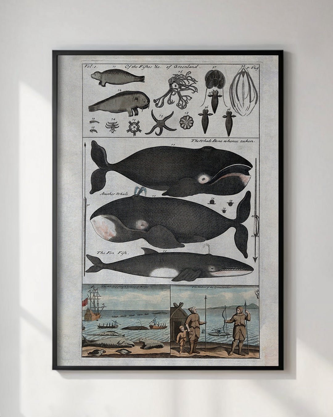 Vintage Whales & Sea Creatures Wall Art Print - Room Four