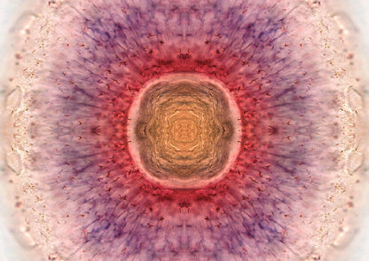 Zebrafish Eye At Sunrise Wall Art Print - Room Four