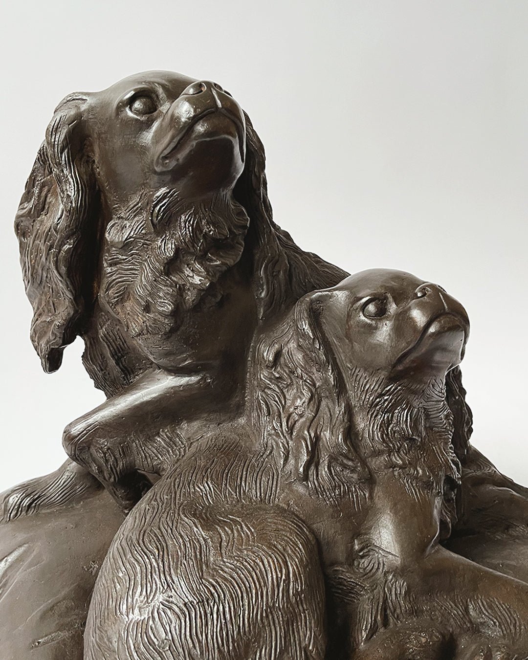 Cavalier King Charles Spaniels Bronze - Room Four